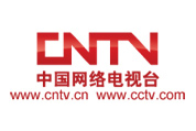 中国网络电视台:职场失信 将入网络档案